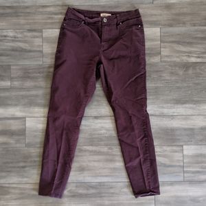 🪴 Junior's Burgundy Skinny Jeans